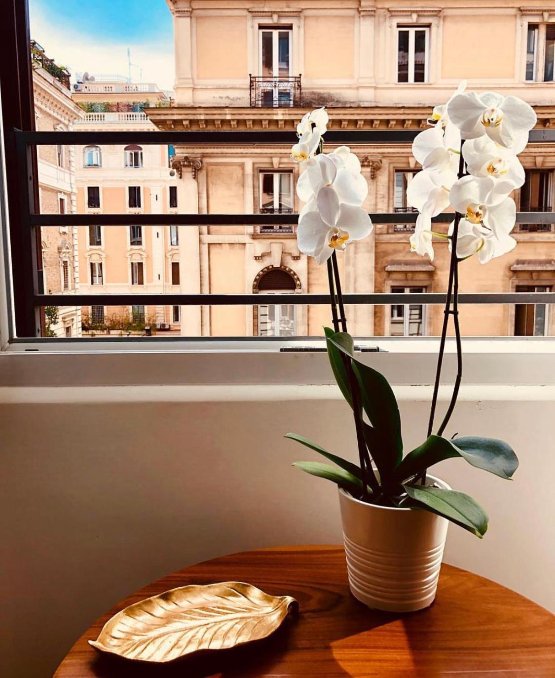 Bed and Breakfast 900 Piazza Del Popolo à Rome Extérieur photo